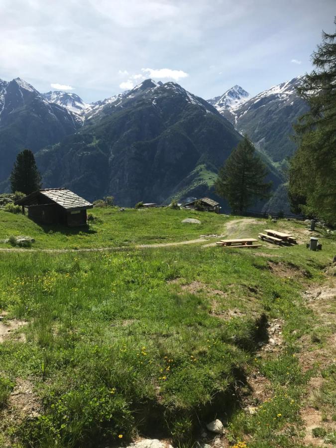 Ferienwohnung Edelweiss Grächen Екстериор снимка